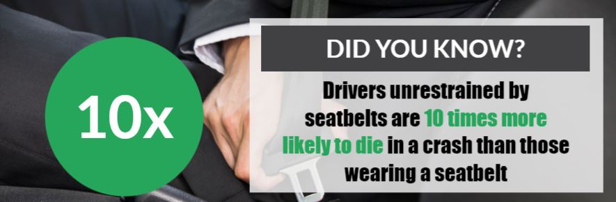 seatbelt statistics